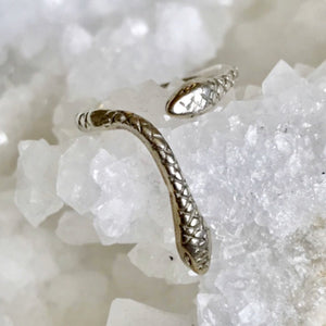 Slightly adjustable two headed snake ring .  By Georgia Varidakis