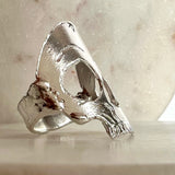 Skull Ring- for Remy